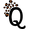 Letter q leopard patterns