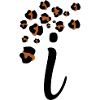 Letter i leopard print