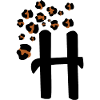 Letter h leopard print