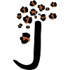 Letter j leopard print