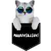 Miaouveilleux. Merveilleux chat drôle.