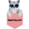 Miaouveilleux. Merveilleux chat drôle.