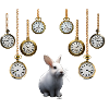 Rabbit Clocks