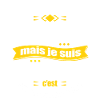 SINAN PARFAIT - PRENOM SINAN