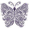 butterfly Butterfly