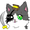 Chat pirate