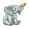 Elephant Hot Dog