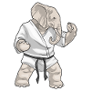 Elephant Karate Martial Arts