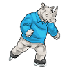 Rhino Skating Skates