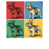 French Bulldog Pop Art Design