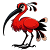 Ibis rouge