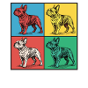 Bouledogue français Pop Art Design