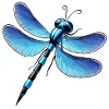 Dragonfly 1