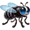 Stubenfliege