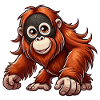 Orangutan 1