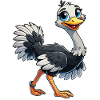Ostrich