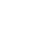 Bruder 1966