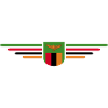Zambia T-Shirt for Africa Fans
