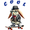 Cool rabbit