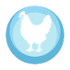 Chicken Chicken Poultry