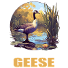 geese goose
