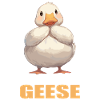 geese goose