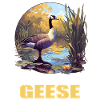 geese goose