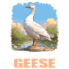 geese goose