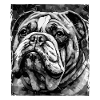 Portrait de chien bouledogue