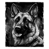 German Shepherd Dog Portrait