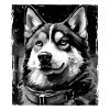 Husky Dog Portrait