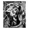 Dachshund Dog Portrait Dachshund