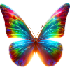 Papillon (01)