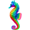 Hippocampe (01)