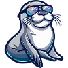seal animal animal