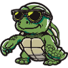 turtle animal