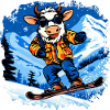 Vaches Snowboard / Vache Snowboardeuse