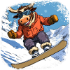 Bulls Snowboard