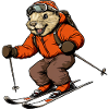 Ski Biber