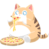 Cute Chubby Cat Eating Pizza
