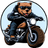 Ours Moto / Motard Ours