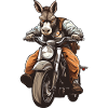 Âne Moto / Moto Âne