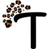 Letter t leopard patterns