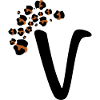 Letter v leopard patterns