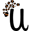 Letter u leopard print