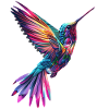 Kolibri