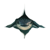 Stachelrochen