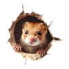 Wiesel