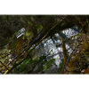 Ancient Canyon Rivers