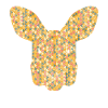 Kangaroo Geometric